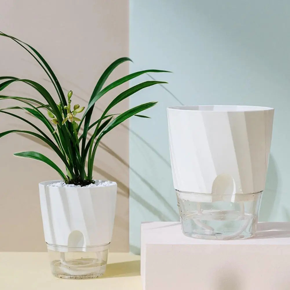 S56d5671afc684b3bbe312d7fac1ac210q